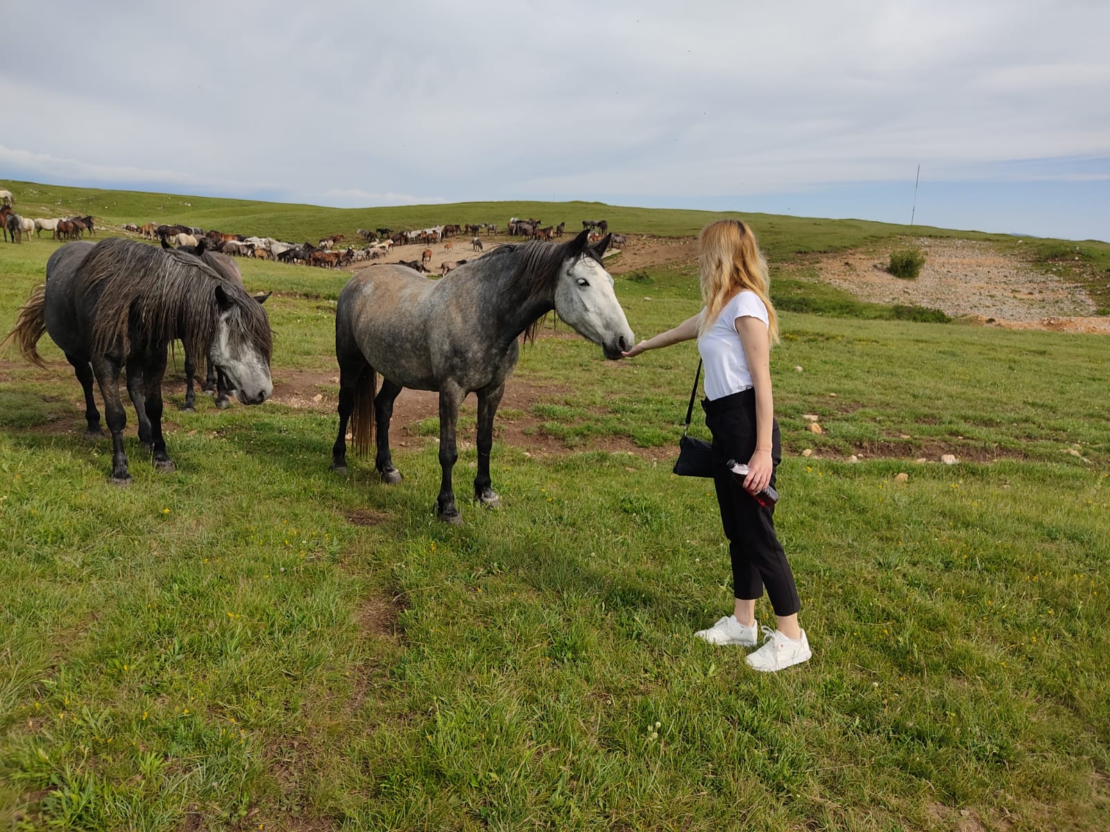 a6d1da94-c850-4cd1-8c8c-92bffb54599c